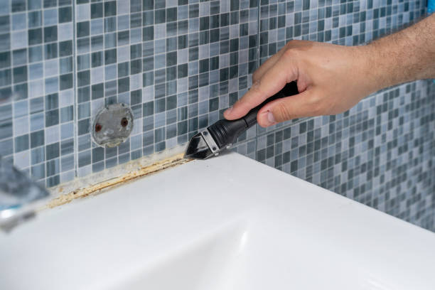 Best Best Mold Removal Companies  in Carrollton, OH