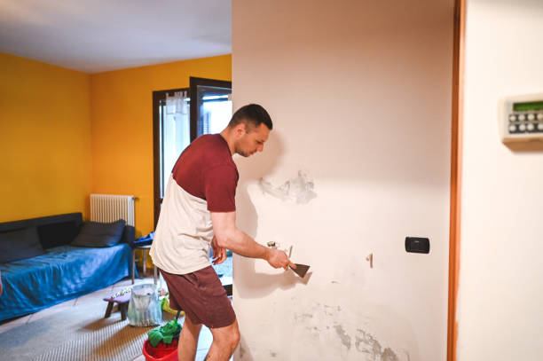 Office Mold Removal Services in Carrollton, OH