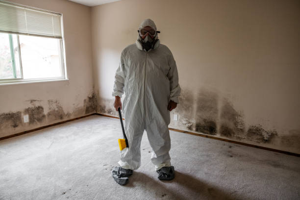 Best Professional Mold Removal  in Carrollton, OH